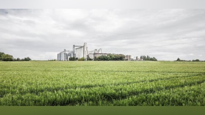 Soufflet se lance dans la production de malt HVE pour Gallia