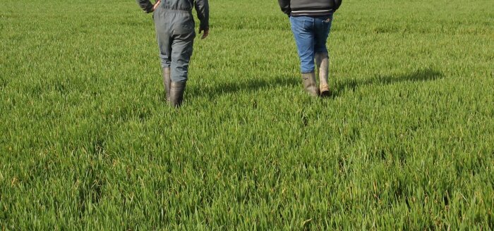 Un chèque-conseil, l’idée que l’APCA portera devant les candidats à la présidentielle