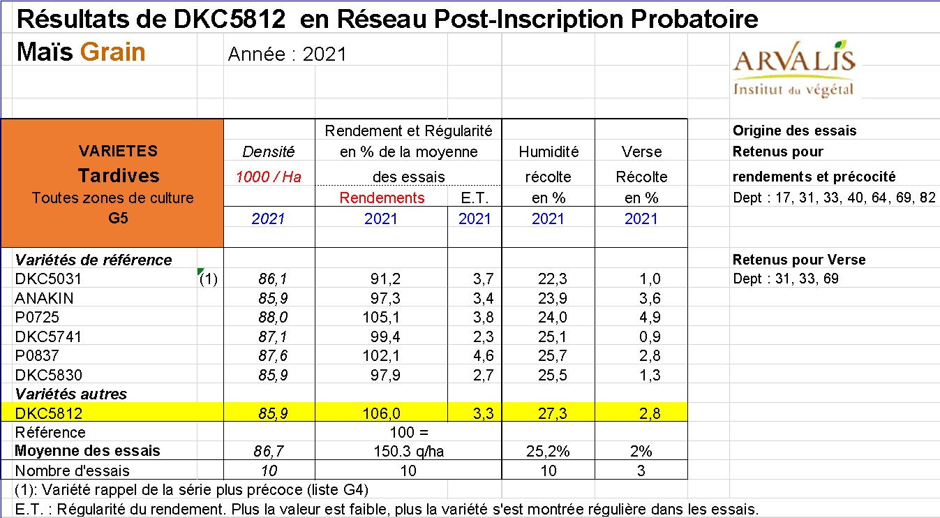 Un Maïs tardif G5 avec un potentiel de rendement exceptionnel, des épis jusqu’à 26 rangs, du jamais vu ! - © D.R.