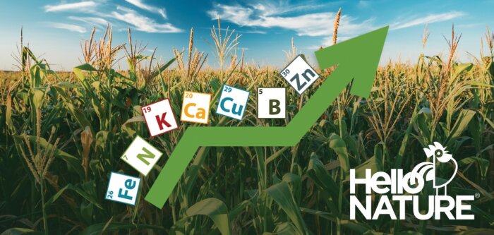 Les biostimulants d’Hello Nature réduisent les besoins en fertilisation N, P, K