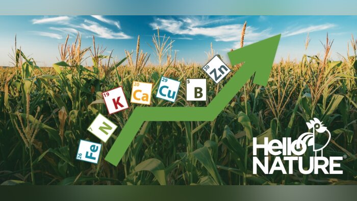 Les biostimulants d’Hello Nature réduisent les besoins en fertilisation N, P, K