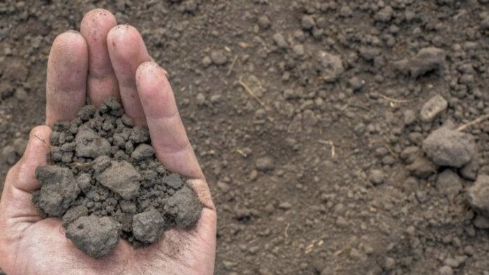 Engrais phosphatés : réduire le cadmium sans compromettre la fertilité des sols
