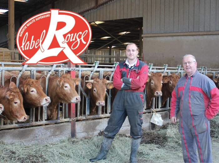 Jean-Marc et Vincent Choné sont éleveurs de vaches de race Limousine en Label Rouge. © DR - © D.R.