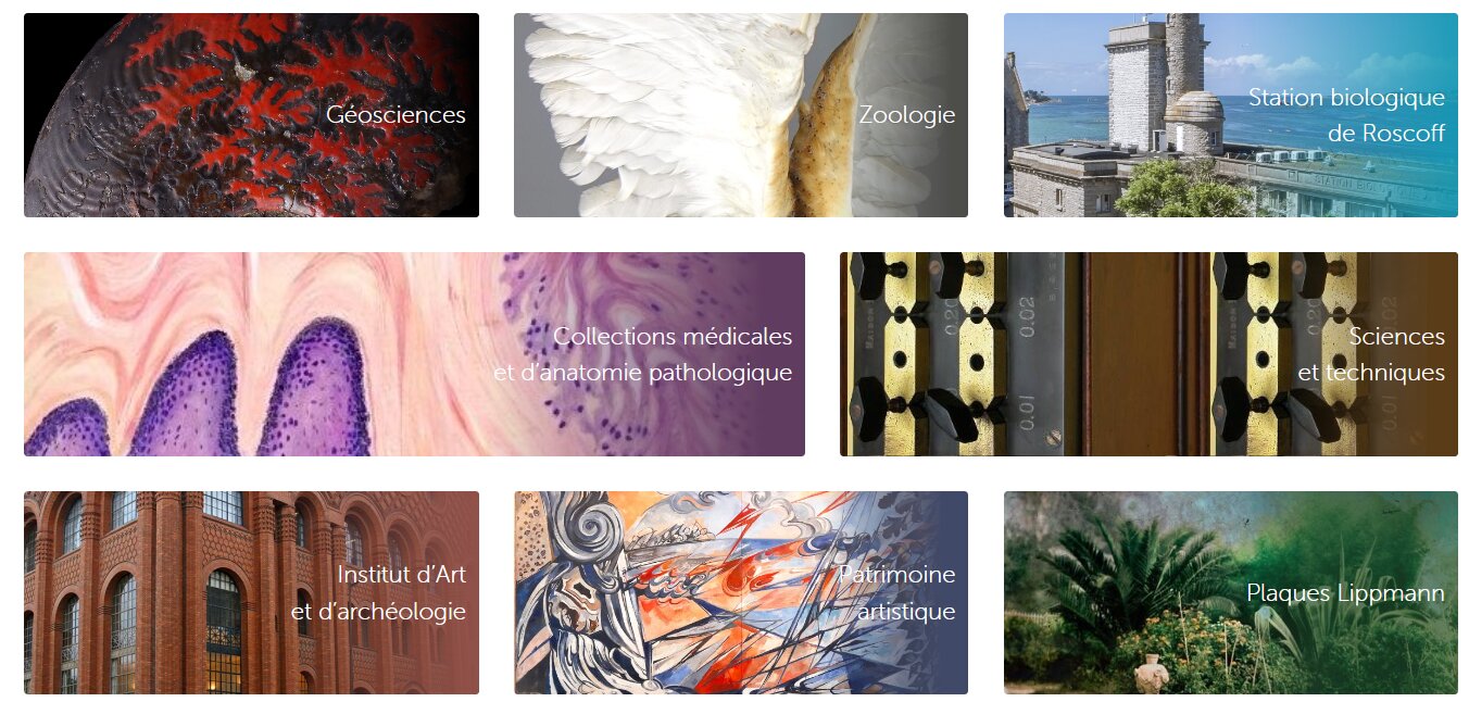SorbonNum+ classe les collections en huit catégories. - © Sorbonne Université