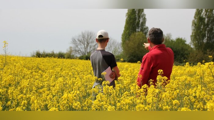 L’adaptation du calendrier du conseil stratégique phytosanitaire est en consultation publique