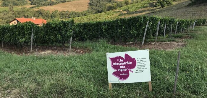 Lancement du premier volet de l’appel à projets Ecophyto 2020-2021