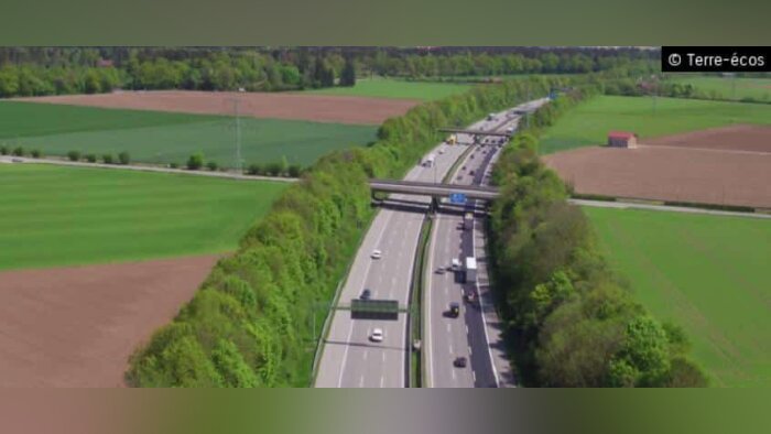 Covid-19, le plan d’actions sur le foncier est repoussé