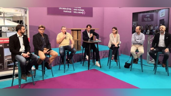 Bien-être des porcs, le débat se cristallise autour du prix