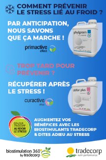 Coup de gel tardif, problématique lié au changement climatique - © D.R.