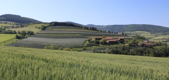 Publication du premier baromètre de la résilience alimentaire des territoires