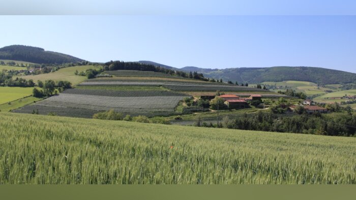 Publication du premier baromètre de la résilience alimentaire des territoires