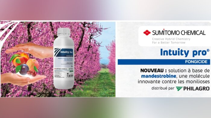 Intuity Pro, l’innovation fongicide anti-monilioses : disponible pour les arboriculteurs cette saison !