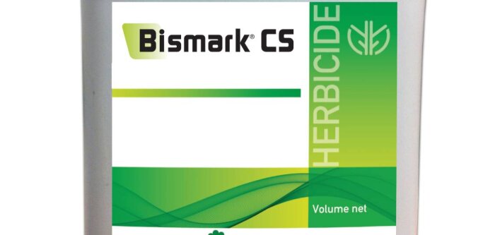 Pomme de terre : BISMARK CS, une solution herbicide innovante pour pallier la disparition de la métribuzine