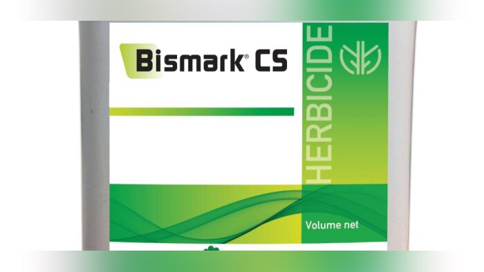 Pomme de terre : BISMARK CS, une solution herbicide innovante pour pallier la disparition de la métribuzine