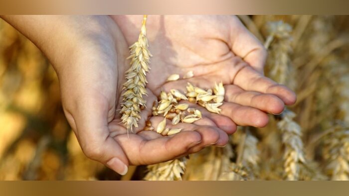 Les professionnels agricoles d’abord motivés par les valeurs de l’entreprise