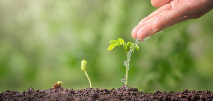 Tout savoir sur la protection des cultures grâce au biocontrôle