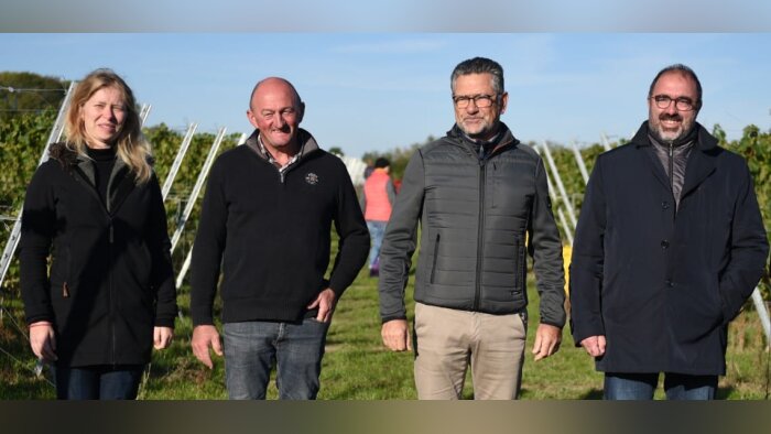 Ternoveo organise les premières vendanges du Pas-de-Calais