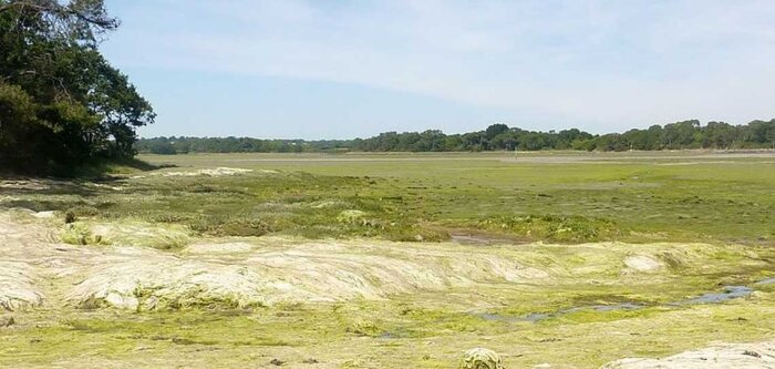 Un rapport sénatorial recommande la mise en place d’un Plav de troisième génération