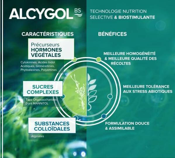 Alcygol BS : La nouvelle gamme de biostimulants homologuée d’Agronutrition - © D.R.
