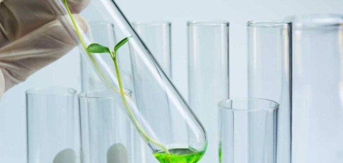 CFIA Rennes : lancement de l’AMI pour le plateau Usine Agro du Futur