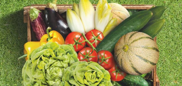 Extension d’usage sur chicorée (endive) et poivron pour Romeo de BASF