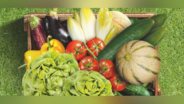 Extension d’usage sur chicorée (endive) et poivron pour Romeo de BASF