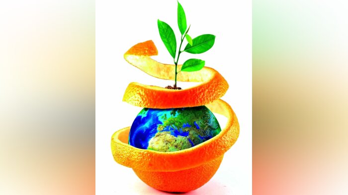 Derrière l’huile essentielle d’orange douce, la R&D biocontrôle d’ORO AGRI