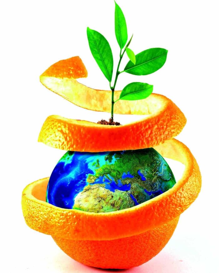 Derrière l’huile essentielle d’orange douce, la R&D biocontrôle d’ORO AGRI