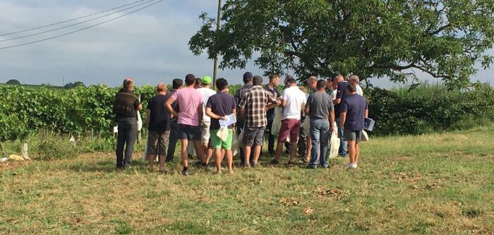 Le négoce Naca veut développer les groupes 30 000