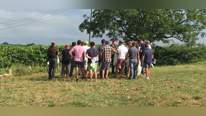 Le négoce Naca veut développer les groupes 30 000