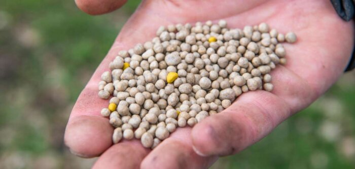 OCI propose DYNAMON : un nouvel engrais contenant Azote et Soufre pour améliorer l’efficacité d’utilisation des nutriments