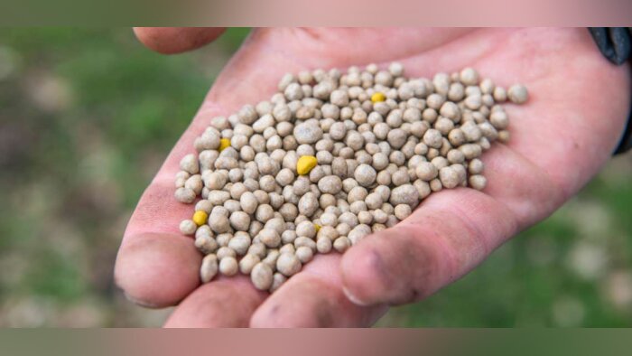 OCI propose DYNAMON : un nouvel engrais contenant Azote et Soufre pour améliorer l’efficacité d’utilisation des nutriments