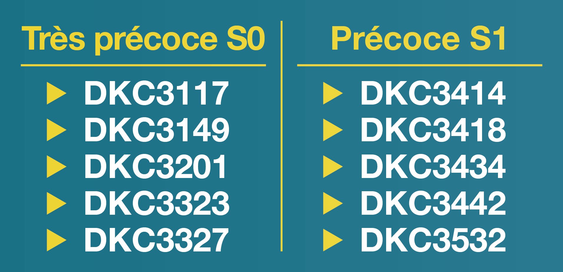 Les variétés retenues pour le label SiloSecur sont réparties en deux catégories, précoces et très précoces. - © DEKALB France