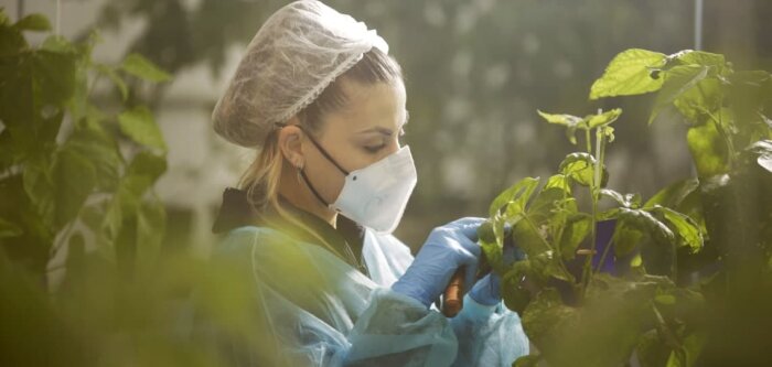 Biosolutions, Kimitec compte conquérir le marché français