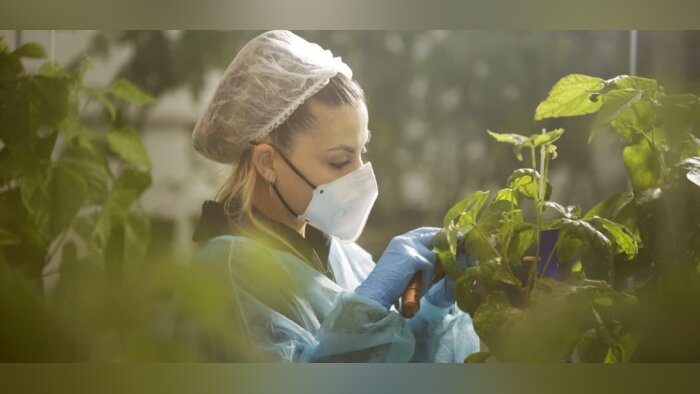 Biosolutions, Kimitec compte conquérir le marché français