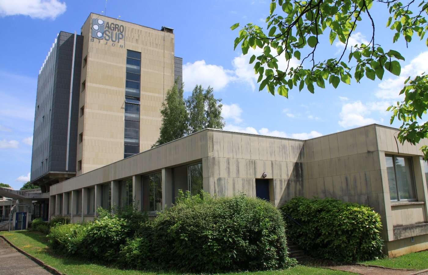Une formation à l’IA est obligatoire pour les étudiants de l’Institut Agro Dijon. - © Institut Agro Dijon