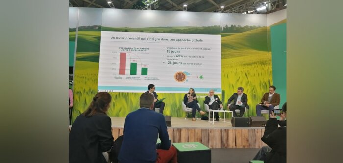 Suite au retrait de deux néonicotinoïdes utilisés comme insecticides, la filière de la betterave se - © D.R.