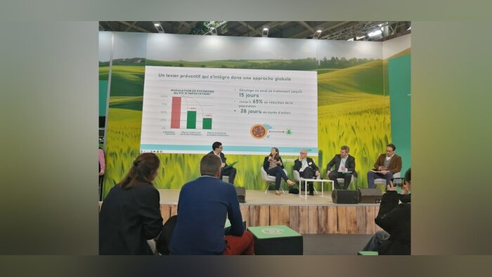 Suite au retrait de deux néonicotinoïdes utilisés comme insecticides, la filière de la betterave se - © D.R.