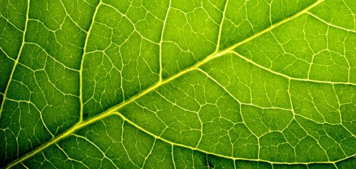 Tout savoir sur les herbicides grâce au E-training