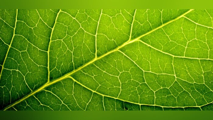Tout savoir sur les herbicides grâce au E-training