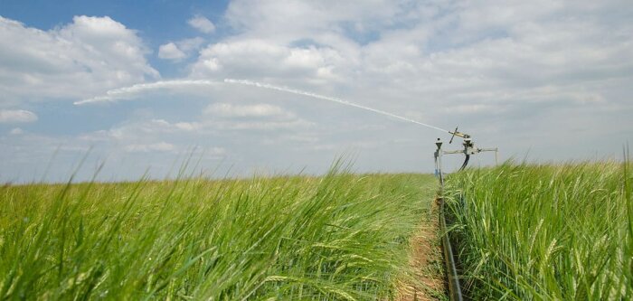 Changement climatique, Arvalis réunit huit OS autour de la modélisation