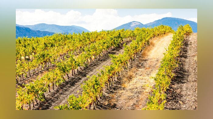 Sans pluies efficaces, le Sud de la France est particulièrement vulnérable aux sécheresses. - © phbcz / Getty Images