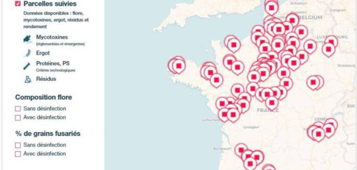 Carto qualité Bayer : acquisition et partage de connaissances sur la qualité sanitaire des blés