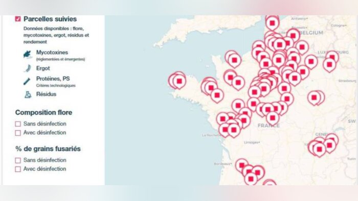 Carto qualité Bayer : acquisition et partage de connaissances sur la qualité sanitaire des blés