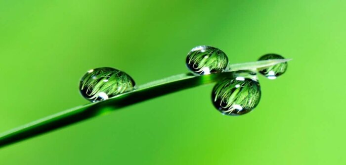 Les adjuvants désormais autorisés en agriculture biologique