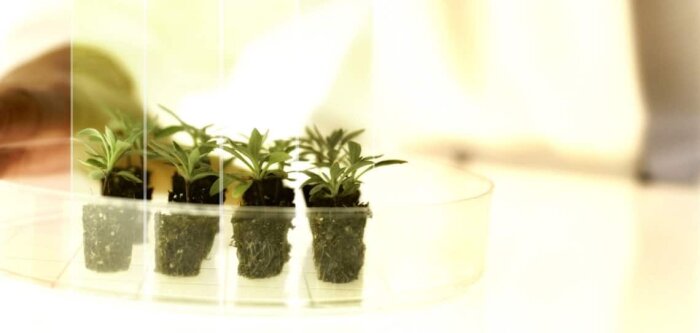 Innovation, Bayer lance un appel aux chercheurs