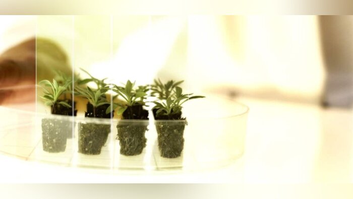 Innovation, Bayer lance un appel aux chercheurs