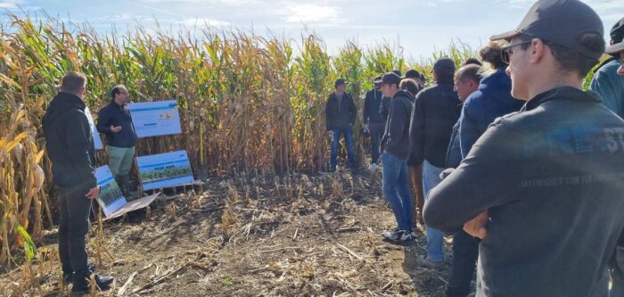 FertilizerpluS, des intrants de qualité pour une agriculture durable