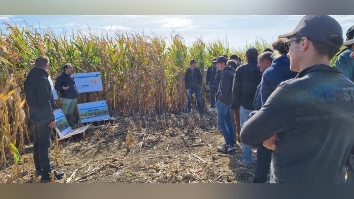FertilizerpluS, des intrants de qualité pour une agriculture durable