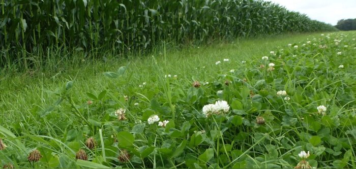 Mag fourragères, accroitre l’autonomie alimentaire des élevages